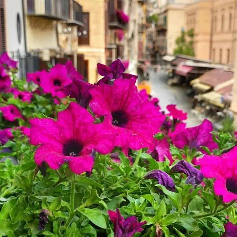 Il Rosone Luxury B&B Palerme Couette-café